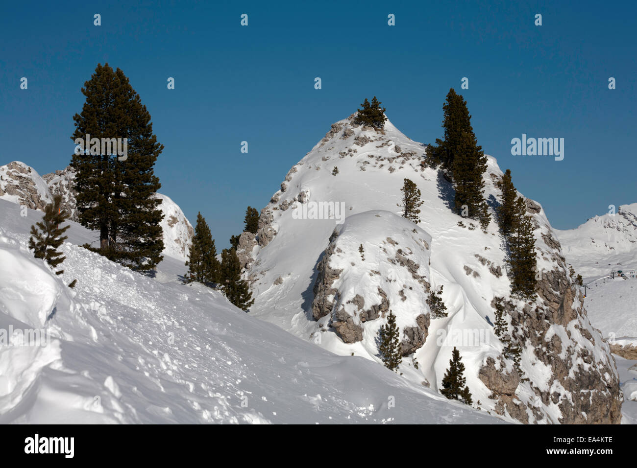 Paesaggio invernale conifera albero e ricoperta di neve sperone di roccia sotto il Sasso Lungo Sassolungo Val Gardena Selva Dolomiti Italia Foto Stock