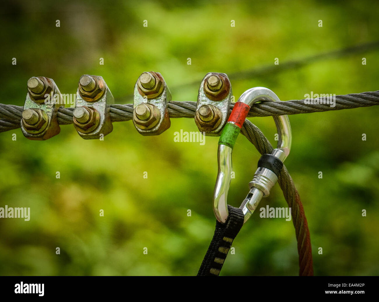 Sport Arrampicata Immagine di un moschettone su una fune di metallo in una foresta Foto Stock