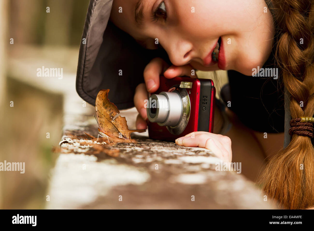 Ragazza,fotocamera,Close Up,rubicondo daggerwing Foto Stock