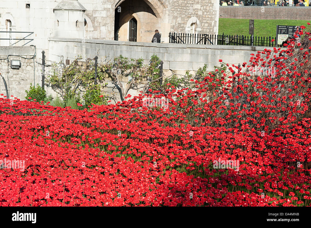 La prima guerra mondiale il papavero commemorazione presso la Torre di Londra. Foto Stock