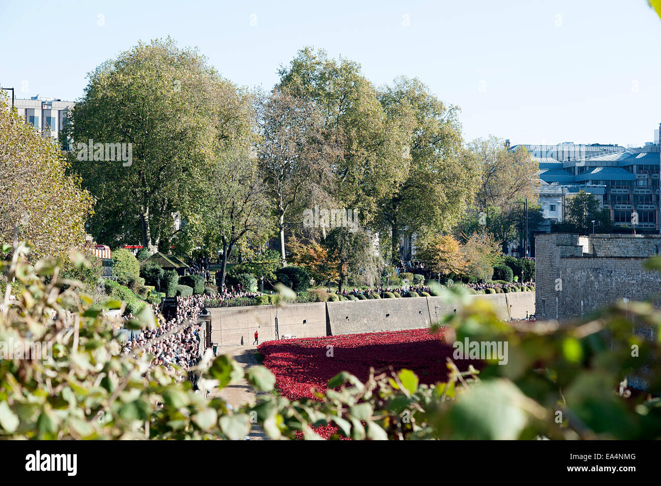 La prima guerra mondiale il papavero commemorazione presso la Torre di Londra. Foto Stock