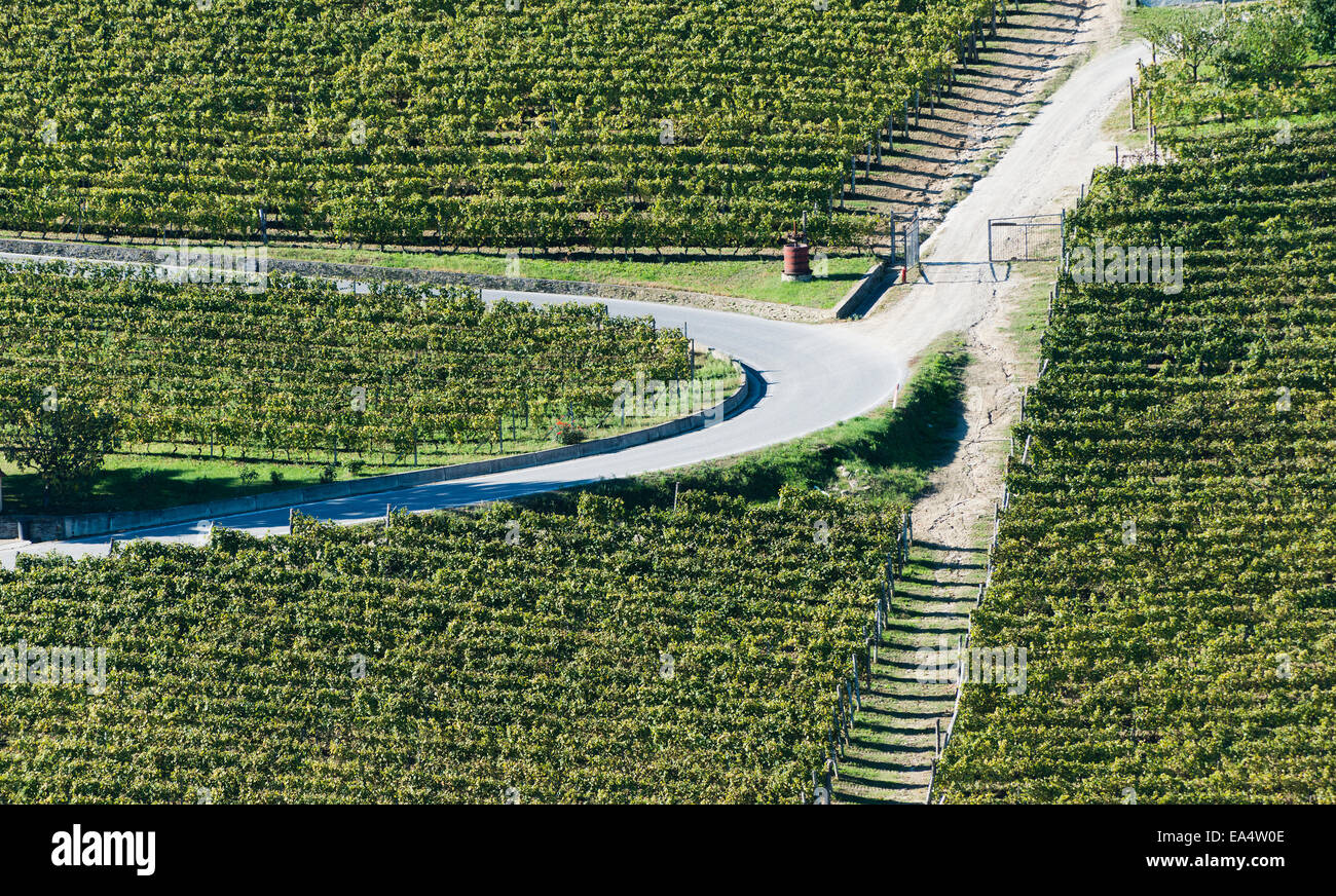 L'Italia,panorama di vigneti del Piemonte: Langhe-Roero e Monferrato nella Lista del Patrimonio Mondiale UNESCO. Foto Stock