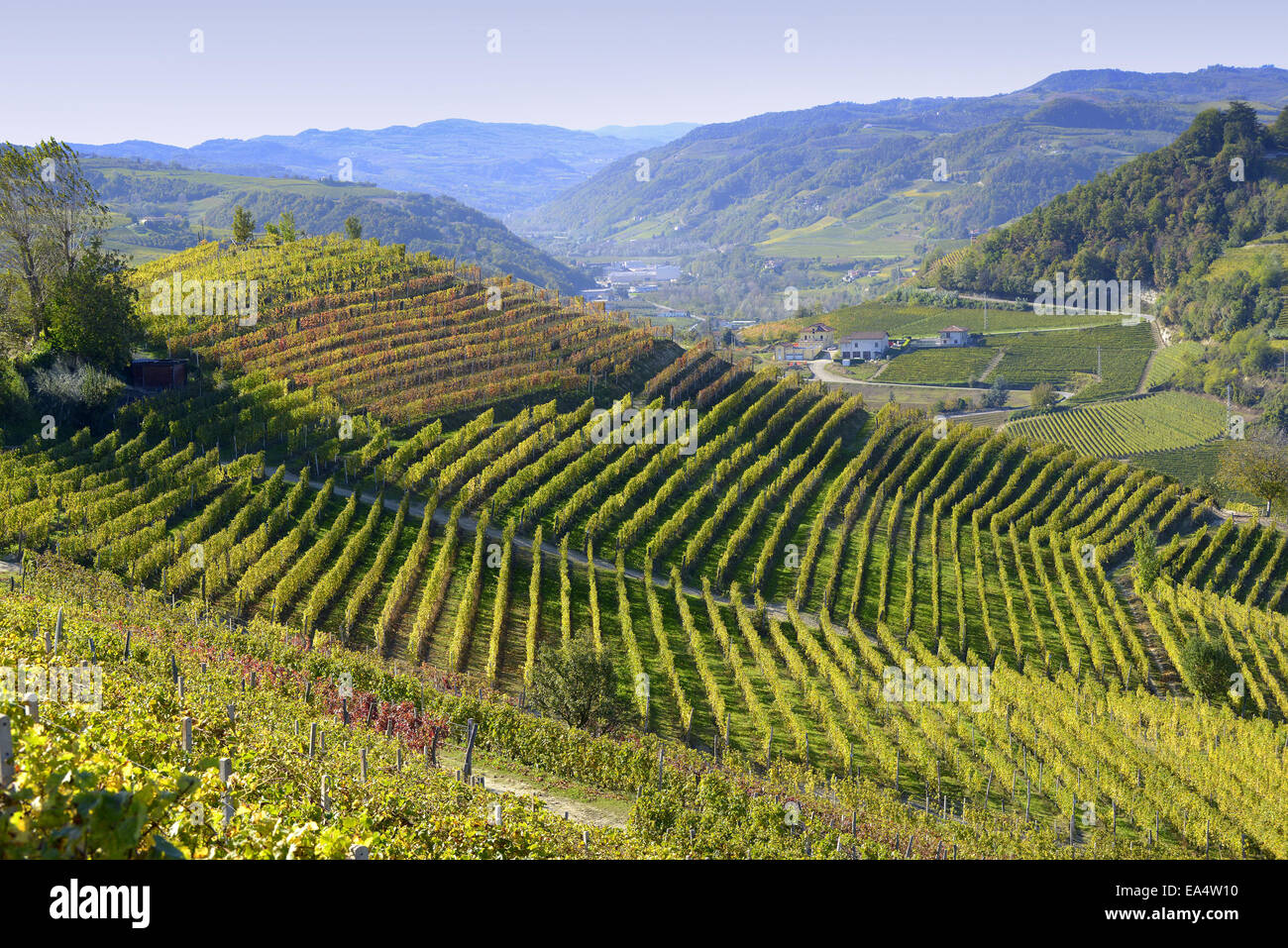 L'Italia,panorama di vigneti del Piemonte: Langhe-Roero e Monferrato nella Lista del Patrimonio Mondiale UNESCO Foto Stock