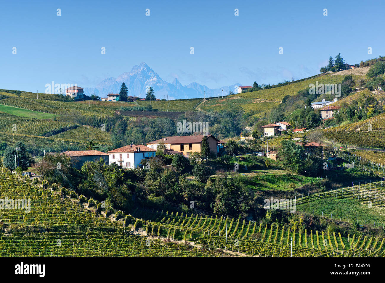 L'Italia,panorama di vigneti del Piemonte: Langhe-Roero e Monferrato nella Lista del Patrimonio Mondiale UNESCO Foto Stock