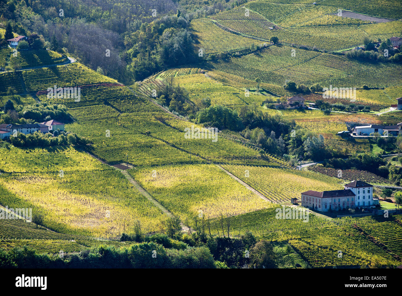 L'Italia,panorama di vigneti del Piemonte: Langhe-Roero e Monferrato nella Lista del Patrimonio Mondiale UNESCO Foto Stock