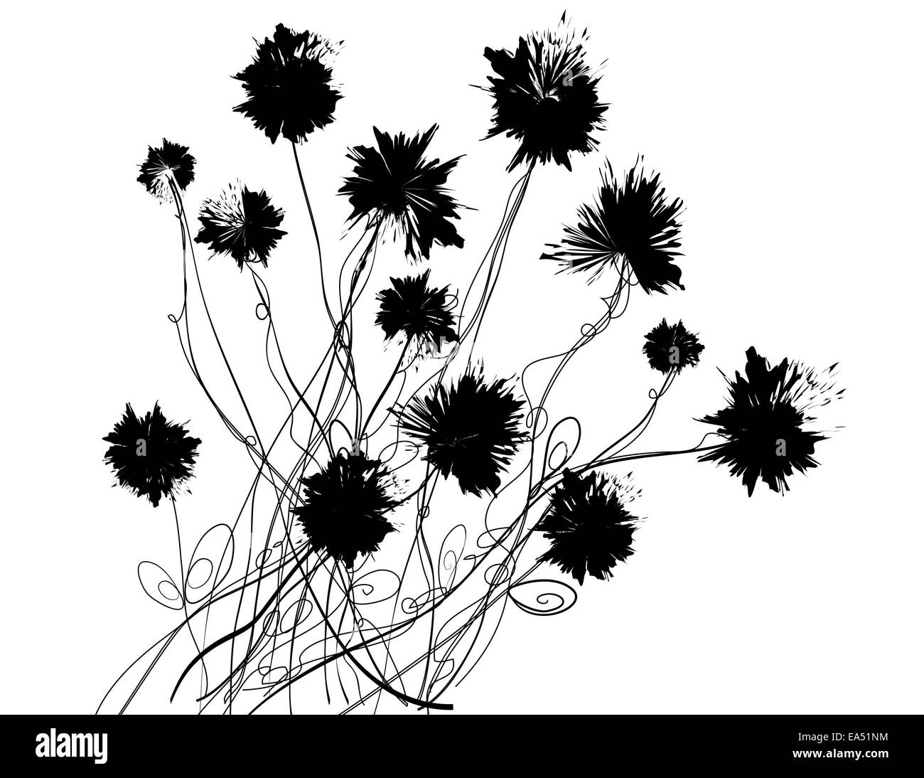 Bianco & Nero illustrazione di un mazzo di fiori selvatici Foto Stock