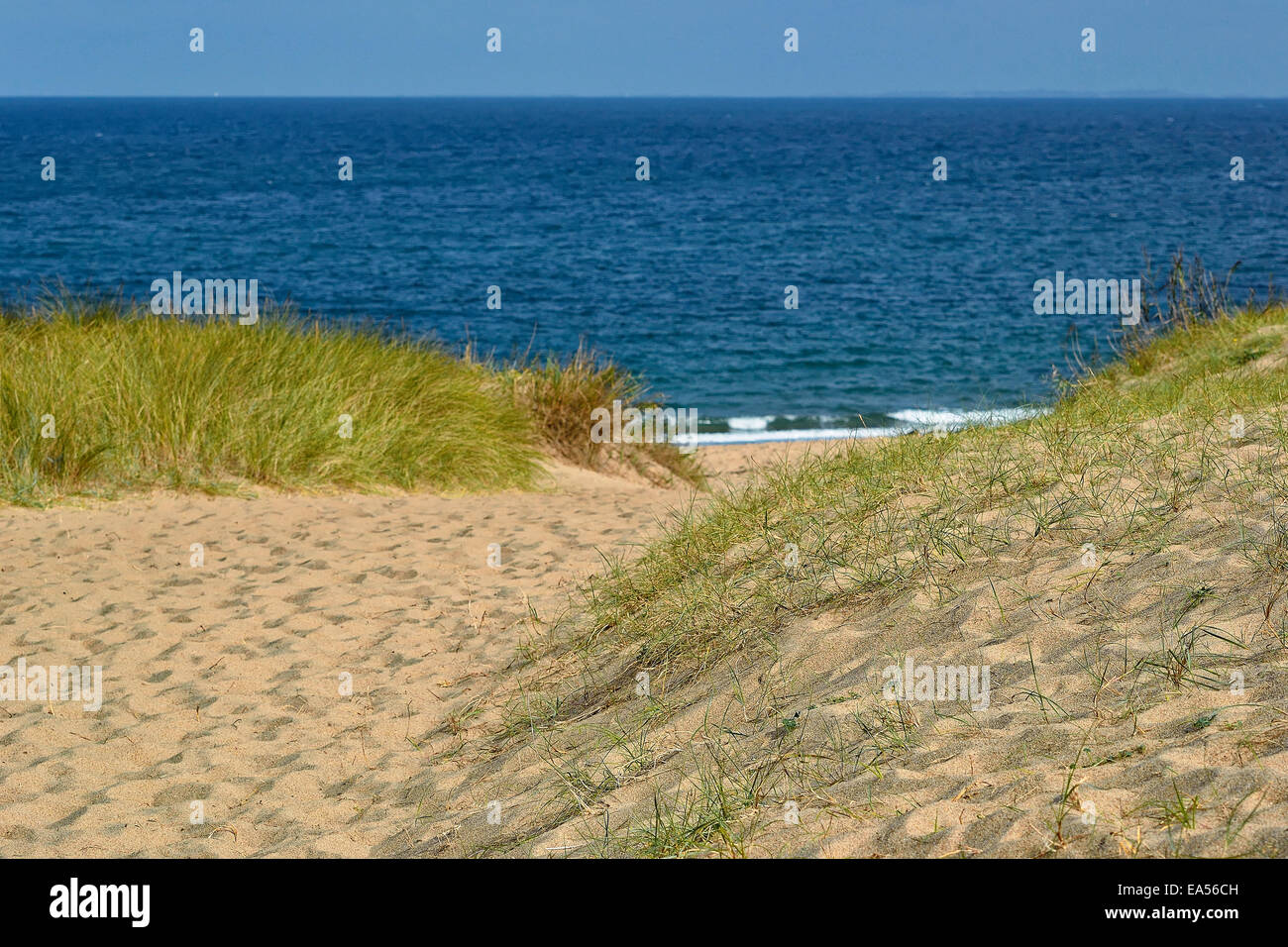 Spiaggia : "La Saussaye', Cancale (Ille et Vilaine Bretagna, Francia). Foto Stock