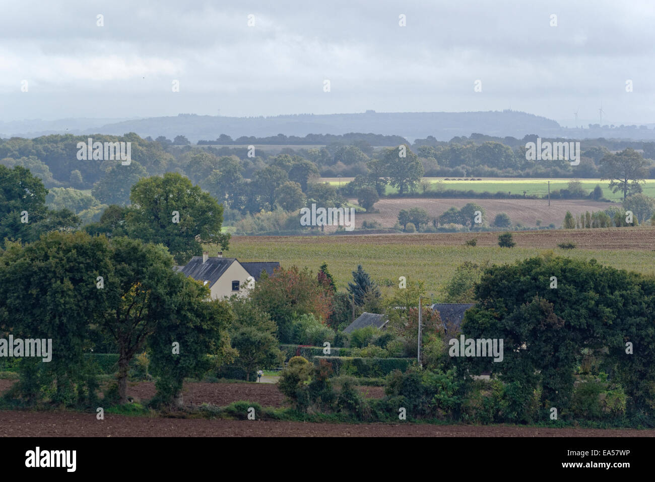 Casa di campagna, grove del nord della Mayenne. Foto Stock