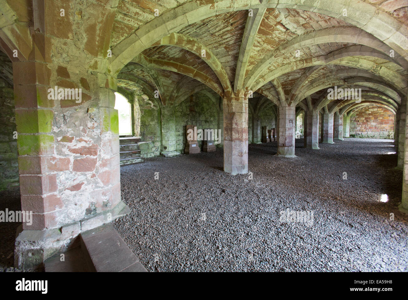Lanercost Priory, Inghilterra. Vista interna del undercroft. Foto Stock