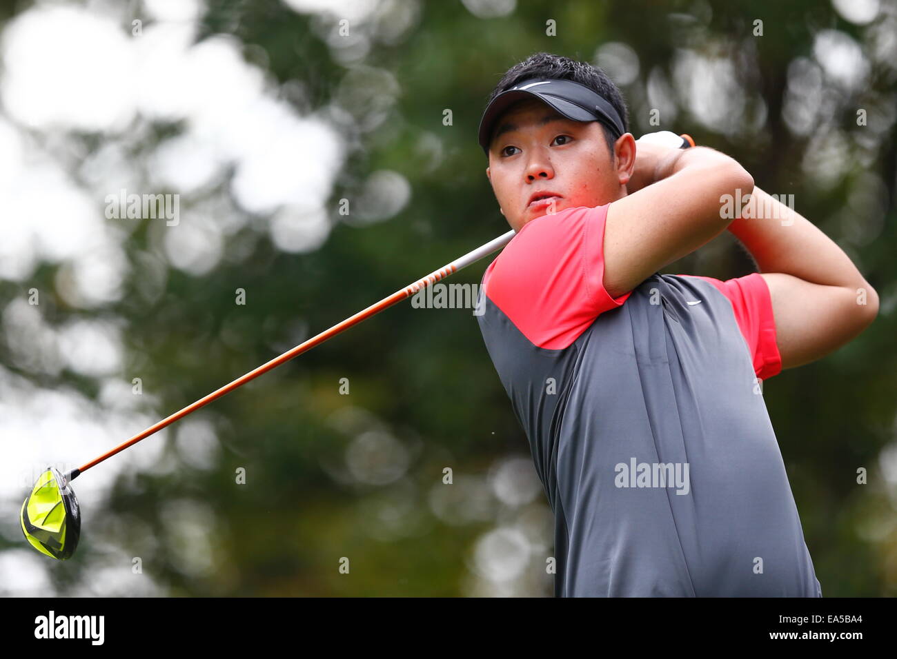 Chiba, Giappone. 6 Nov, 2014. Shunsuke Sonoda Golf : HEIWA PGM CAMPIONATO Kasumigaura nel primo round a Miho Golf Club a Chiba, Giappone . © AFLO SPORT/Alamy Live News Foto Stock
