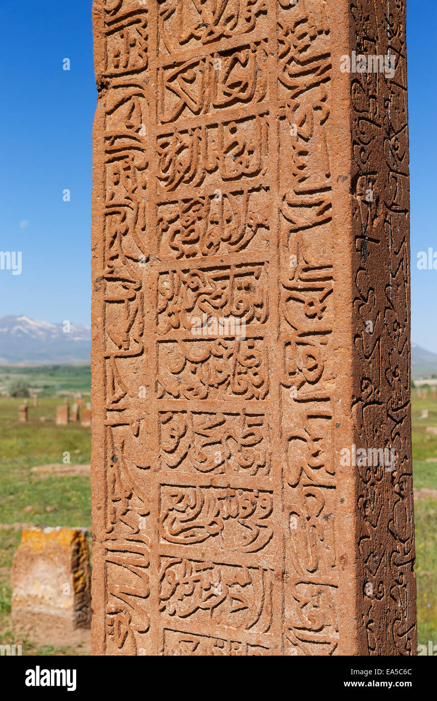 La Turchia Anatolia Anatolia Orientale Regione Provincia Bitlis Ahlat Seljukian grave yard Selcuklu Mezarligi iscrizione sulla pietra tombale Foto Stock