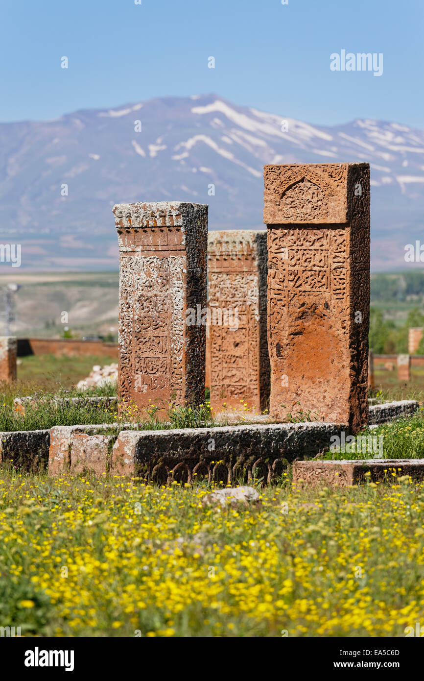 Turchia, Anatolia, Anatolia Orientale Regione, Provincia Bitlis, Ahlat, Seljukian grave yard, Selcuklu Mezarligi, lapidi Foto Stock