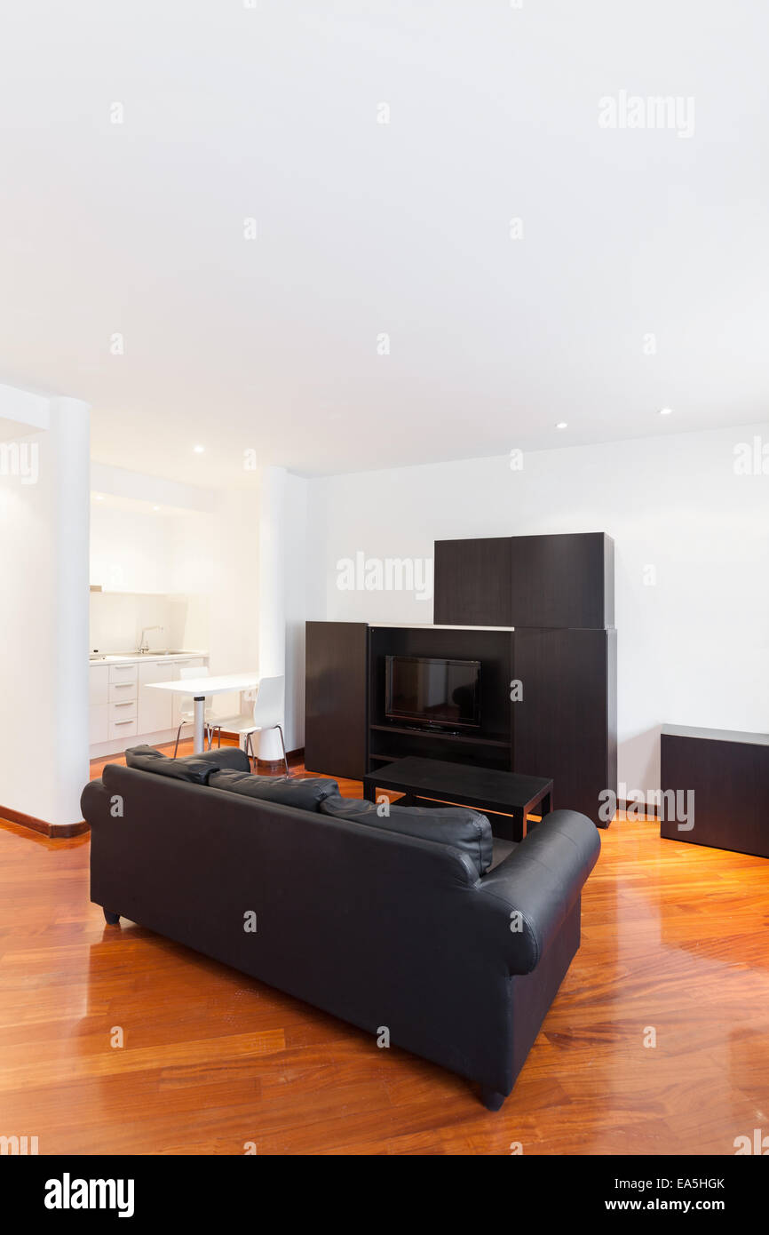 Home interiore, un bel soggiorno, arredamento moderno Foto Stock