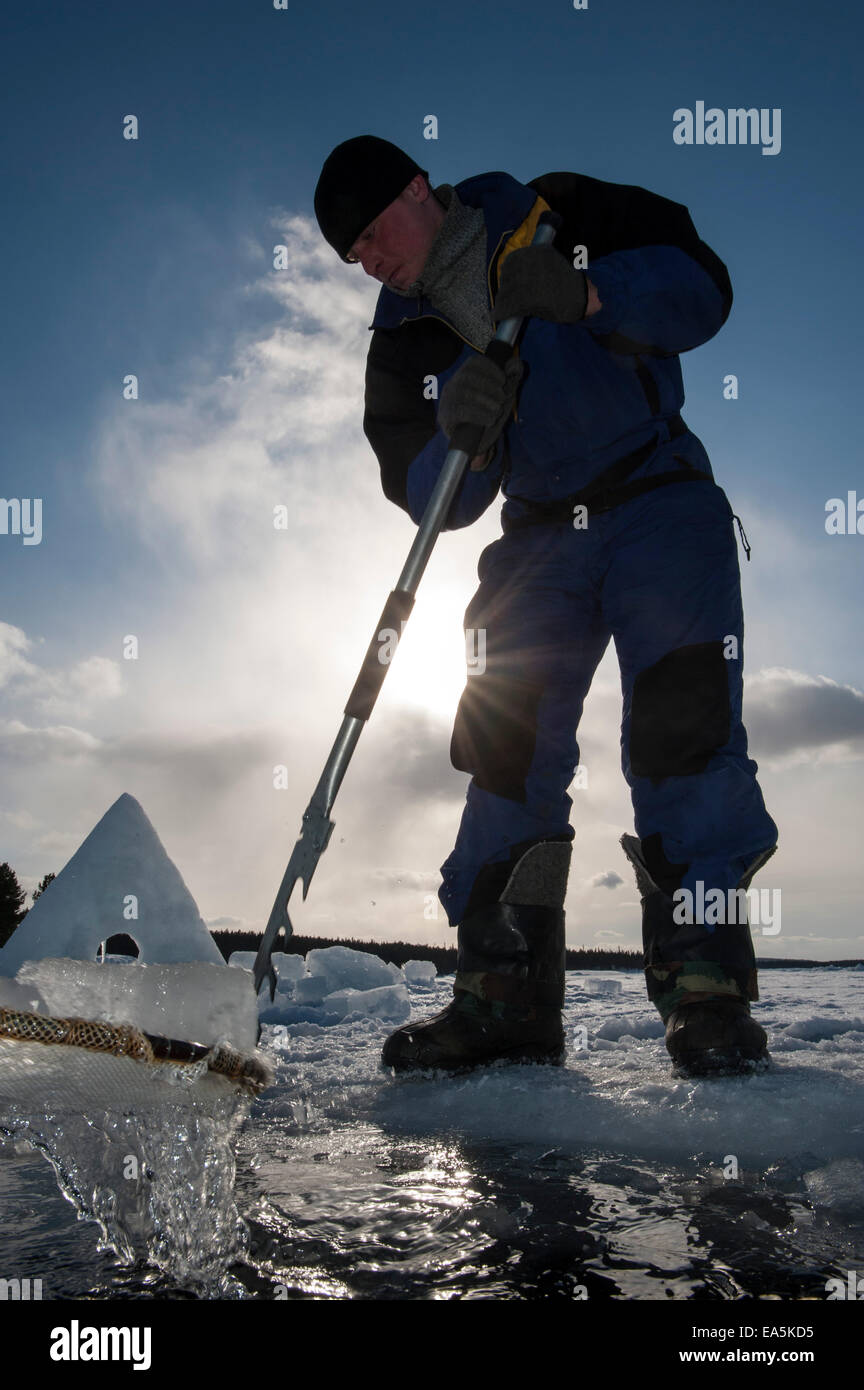 Russia, Circolo Polare Artico Dive Center, circolo polare, Mare Bianco, l'uomo la preparazione di foro per immersioni sotto il ghiaccio Foto Stock