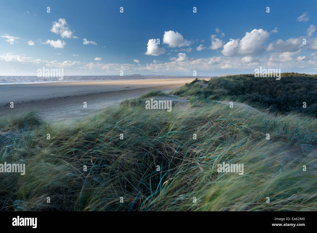 Berrow Dune. Il Somerset, Inghilterra, Regno Unito. Foto Stock