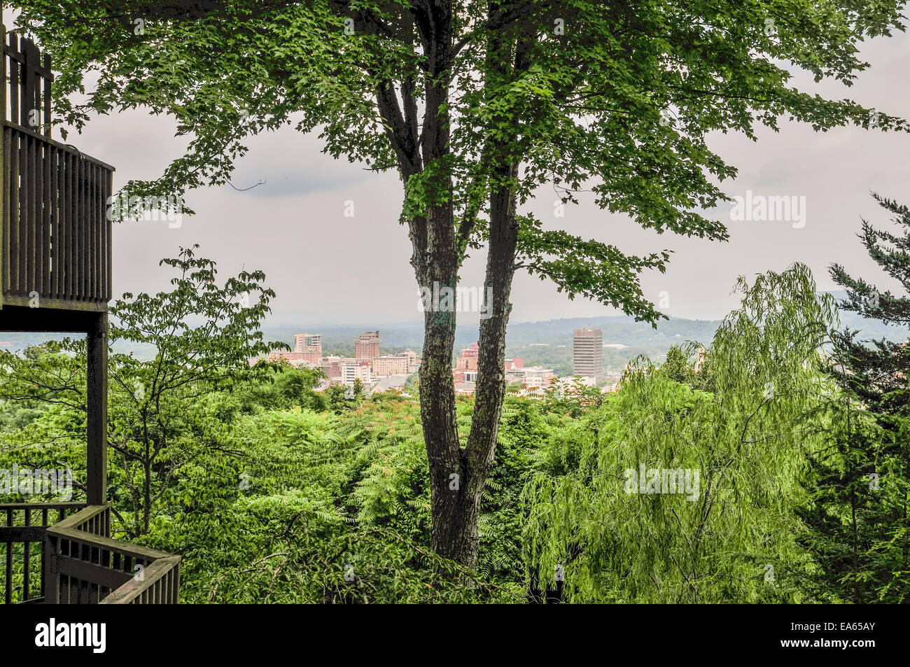 Asheville NC skyline attraverso gli alberi Foto Stock