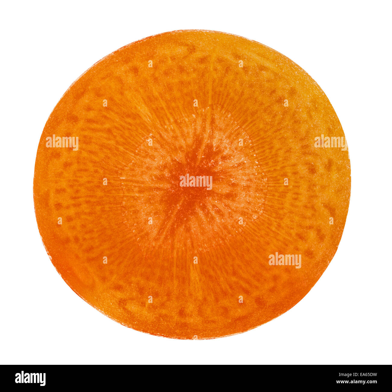 Fetta di carota Foto Stock