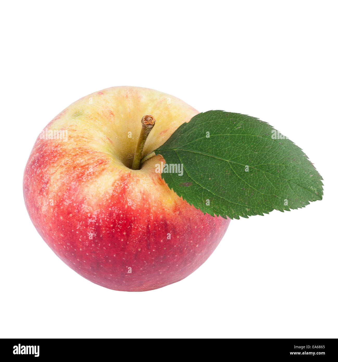 Apple organico isolato su bianco Foto Stock