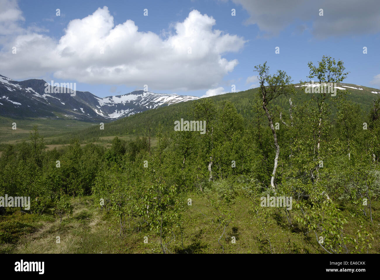 Il panorama su Senja Foto Stock