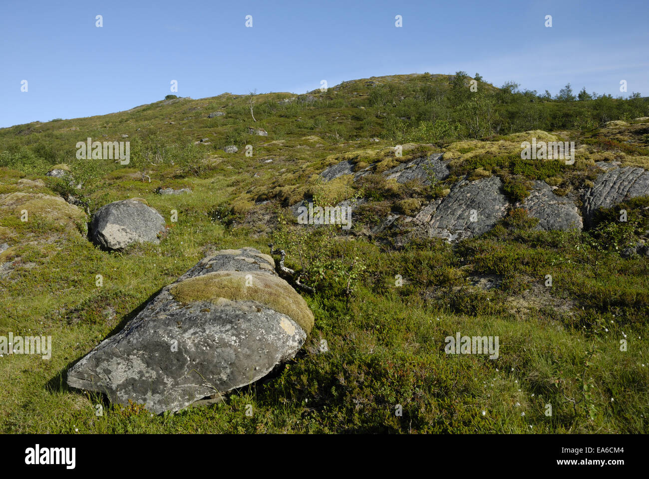 Paesaggio di Straumsbotn su Senja Foto Stock