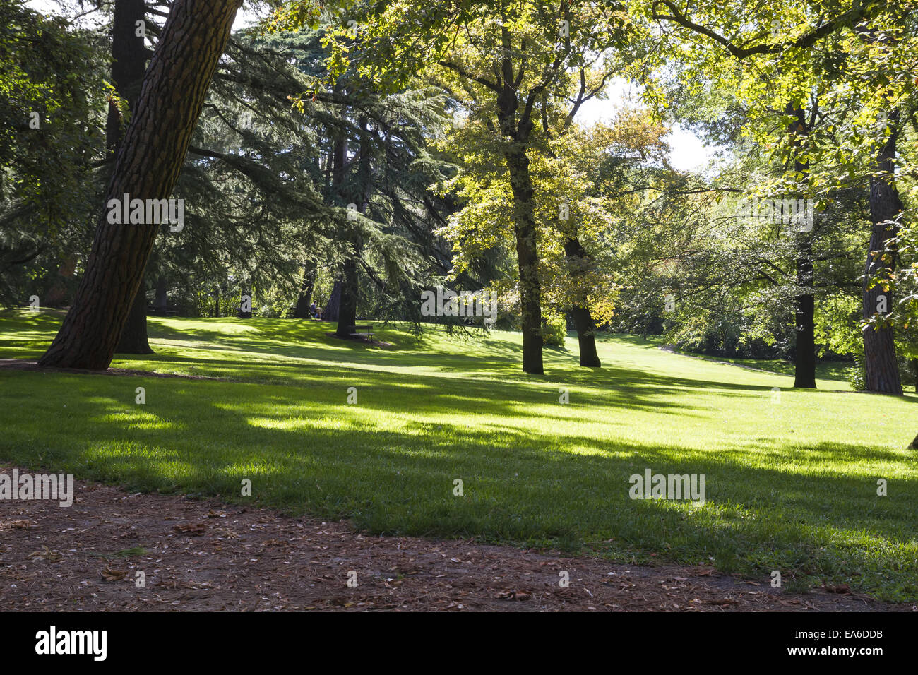 Autunno, splendido parco con alberi frondosi Foto Stock