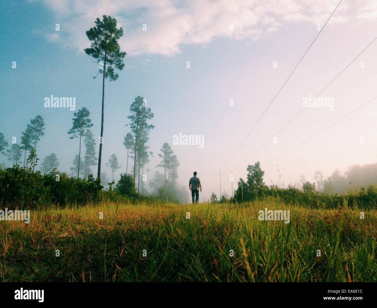 Uomo che cammina in paesaggio rurale, Florida, Stati Uniti Foto Stock