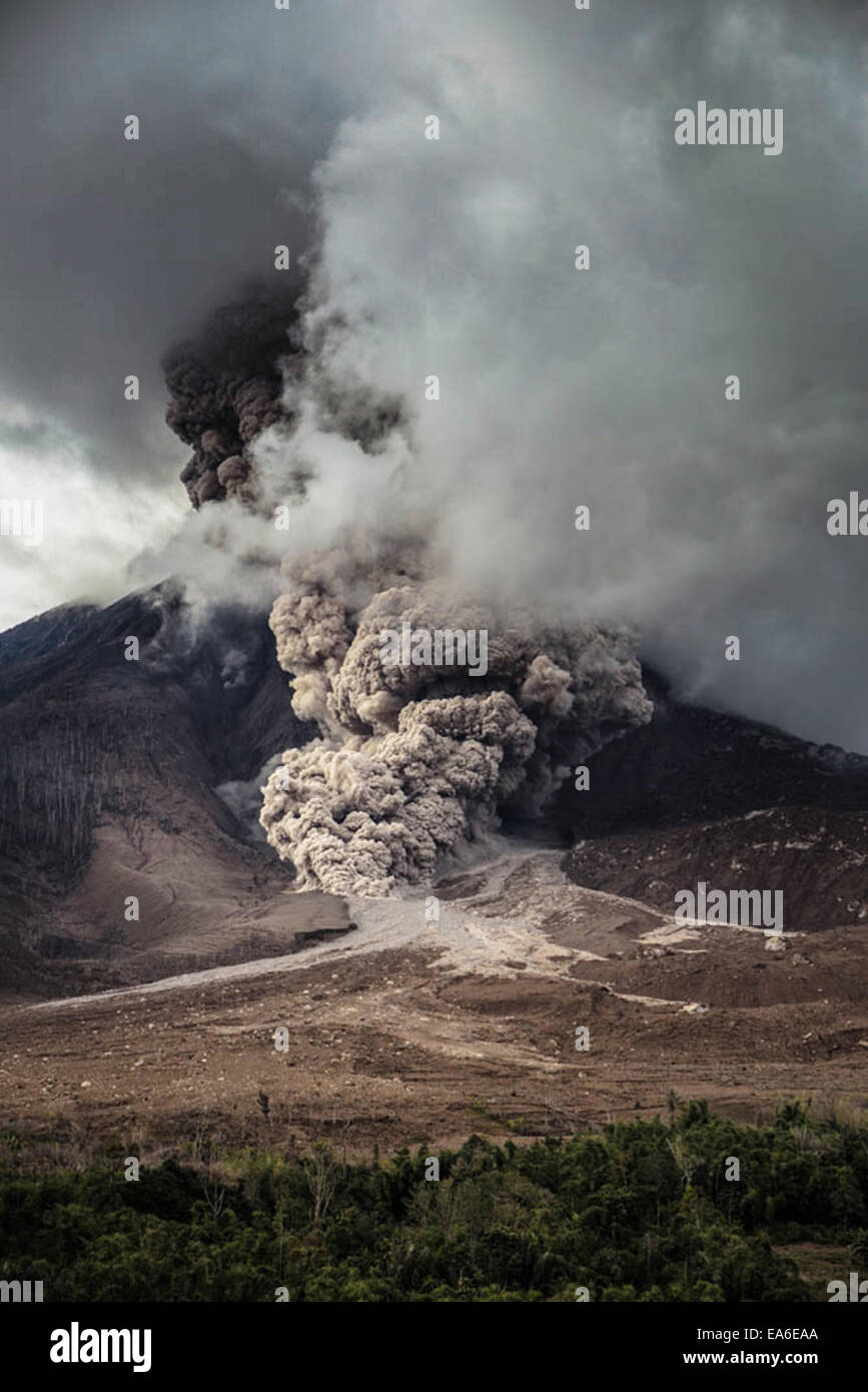 Karo, Sumatra, Indonesia. 7 Novembre, 2014. Gigantesche nubi di cenere eruttate dal monte Vulcano Sinabung, il 07 novembre 2014 in Karo distretto, nel nord di Sumatra, Indonesia. Credito: ZUMA Press, Inc./Alamy Live News Foto Stock