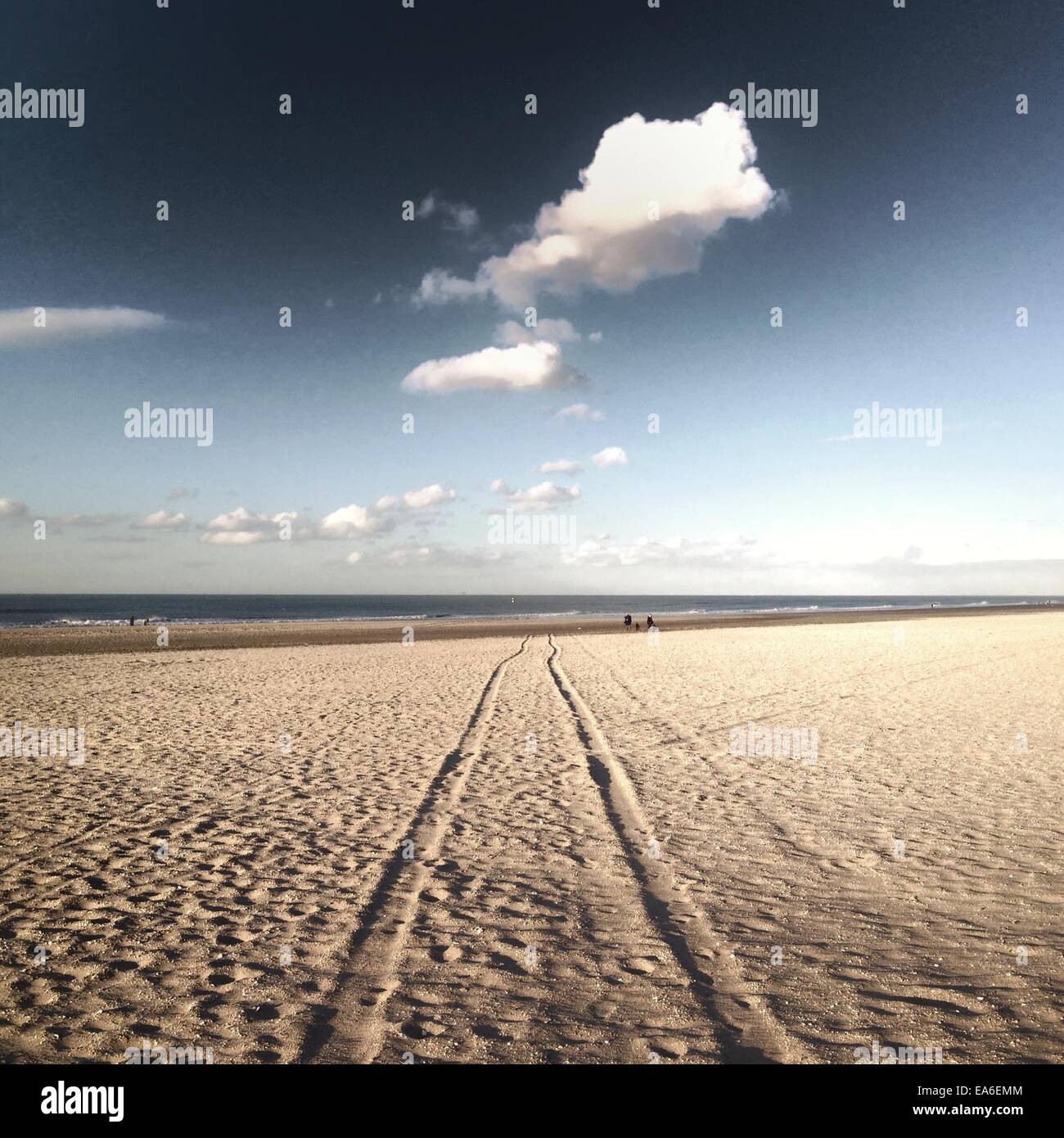 Tracce di pneumatici sulla spiaggia Foto Stock