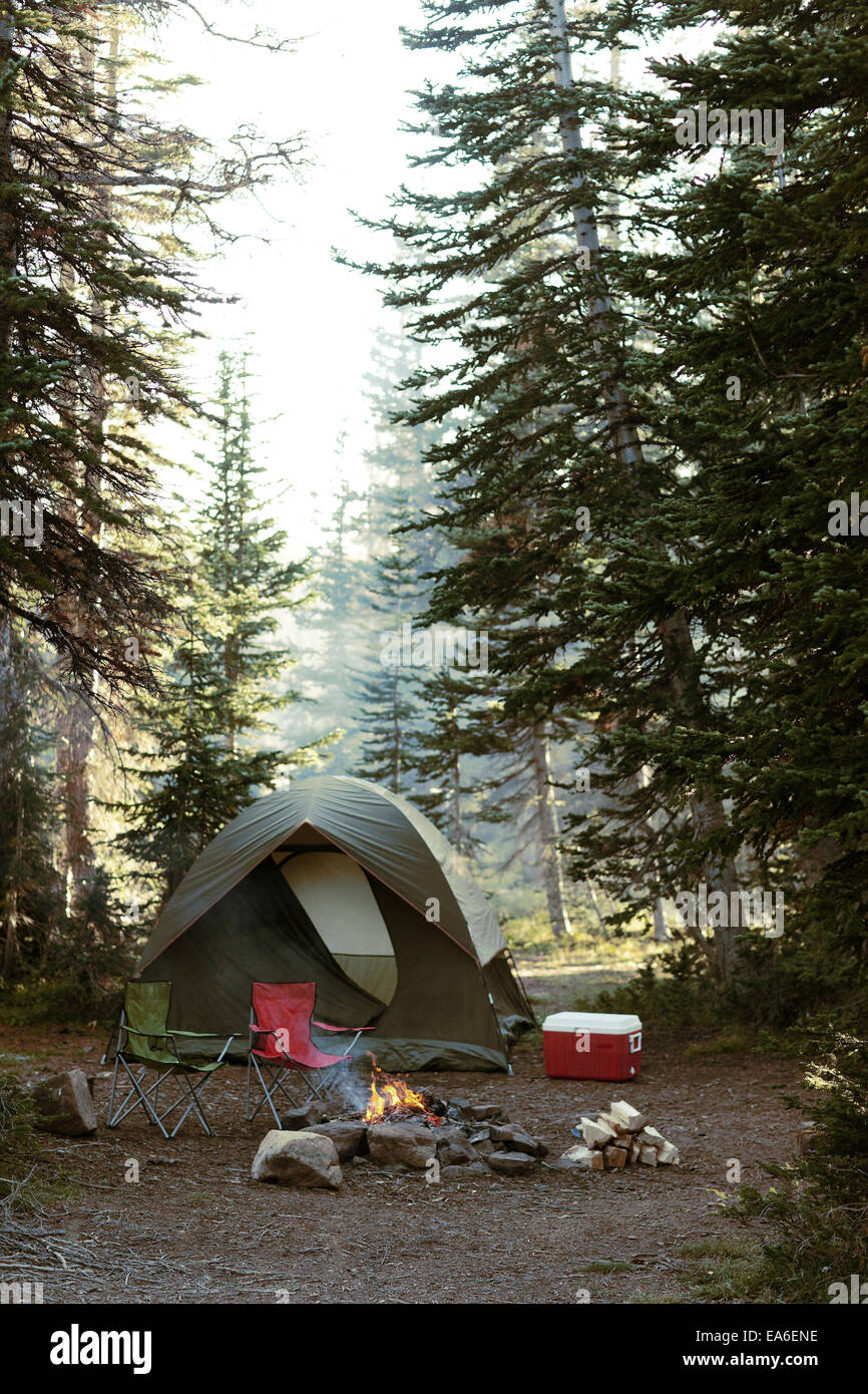 Stati Uniti d'America, Utah, Uinta National Forest, vuoto posto di campeggio Foto Stock