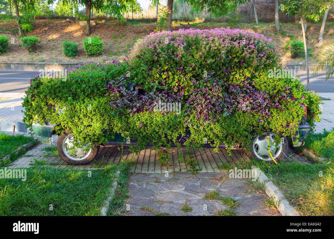 Concettuale decorazione floreale di piccola vecchia auto ecologiche metafora di oggetto Foto Stock
