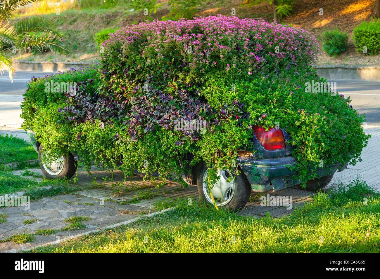Concettuale decorazione floreale della vecchia auto ecologiche metafora di oggetto Foto Stock