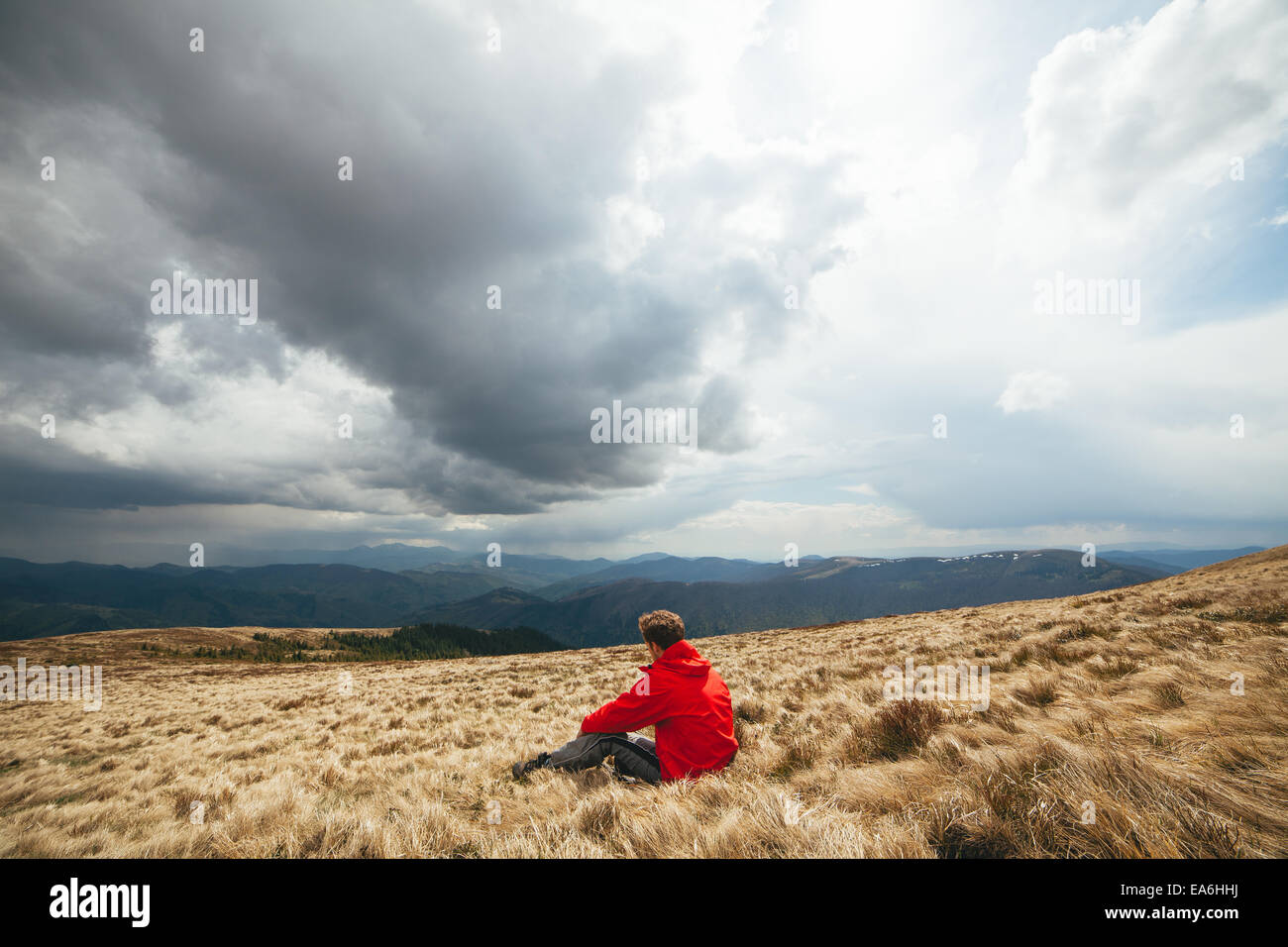 Giovane uomo seduto nel campo Foto Stock