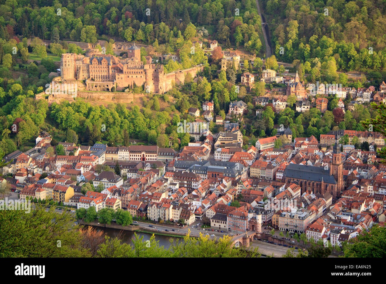 Vista di Schloss Heidelberg, (Heidelberg Castle) e la città vecchia di Heidelberg, Germania Foto Stock