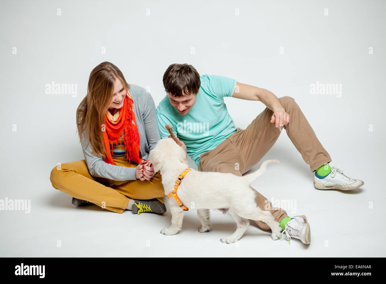 Giovane giocando con un cane Foto Stock