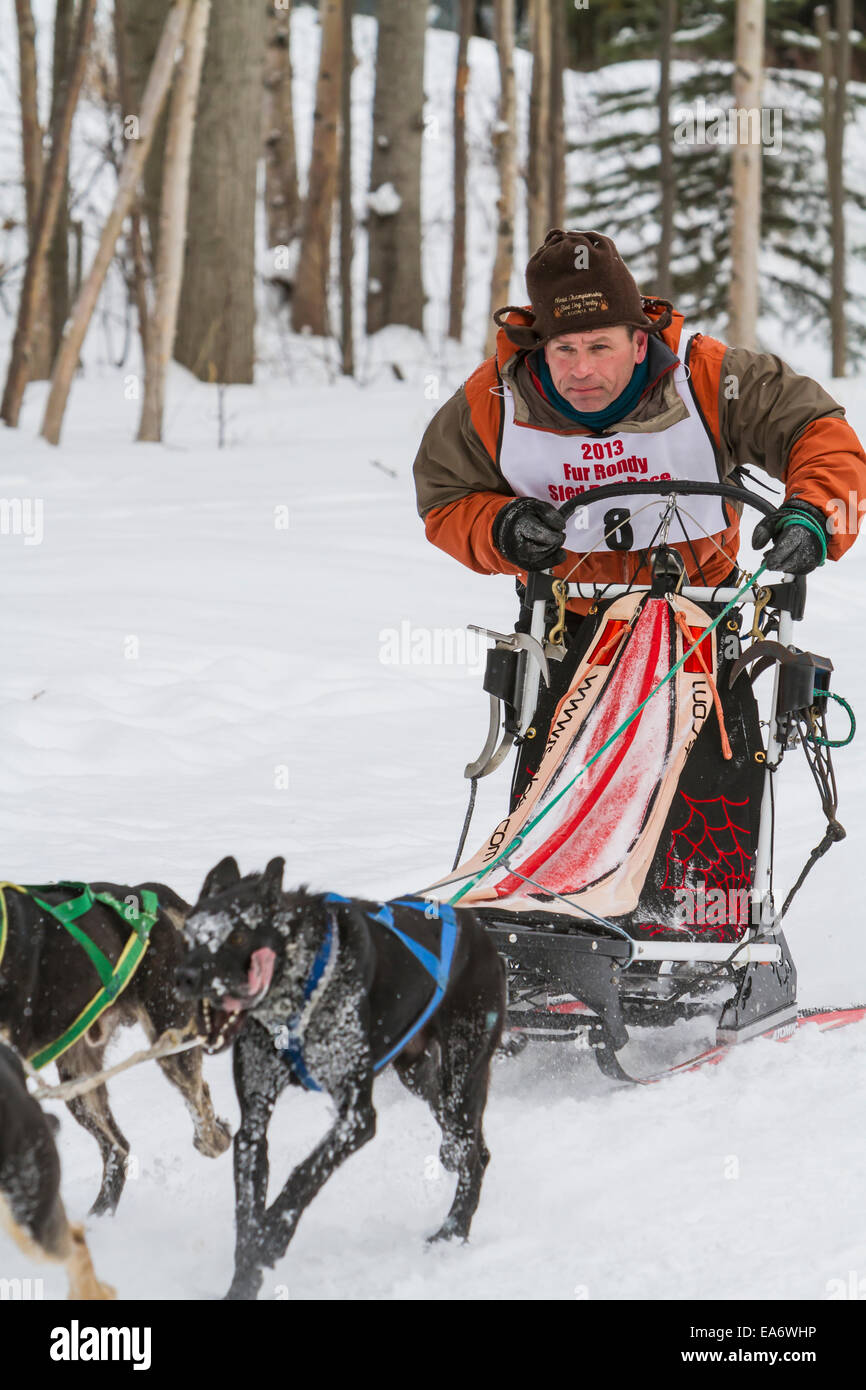 Gara,Husky,Snow,Forest,lo sleddog,pastosità Foto Stock