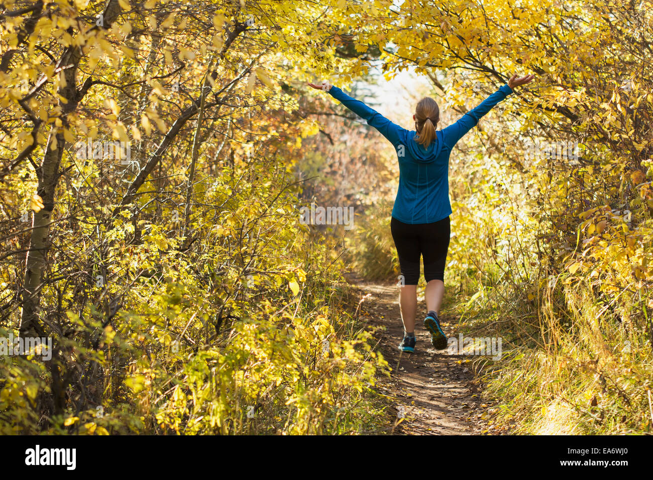 Una giovane donna trekking sul Sentiero Sypes vicino a Bozeman, Montana, Stati Uniti d'America Foto Stock