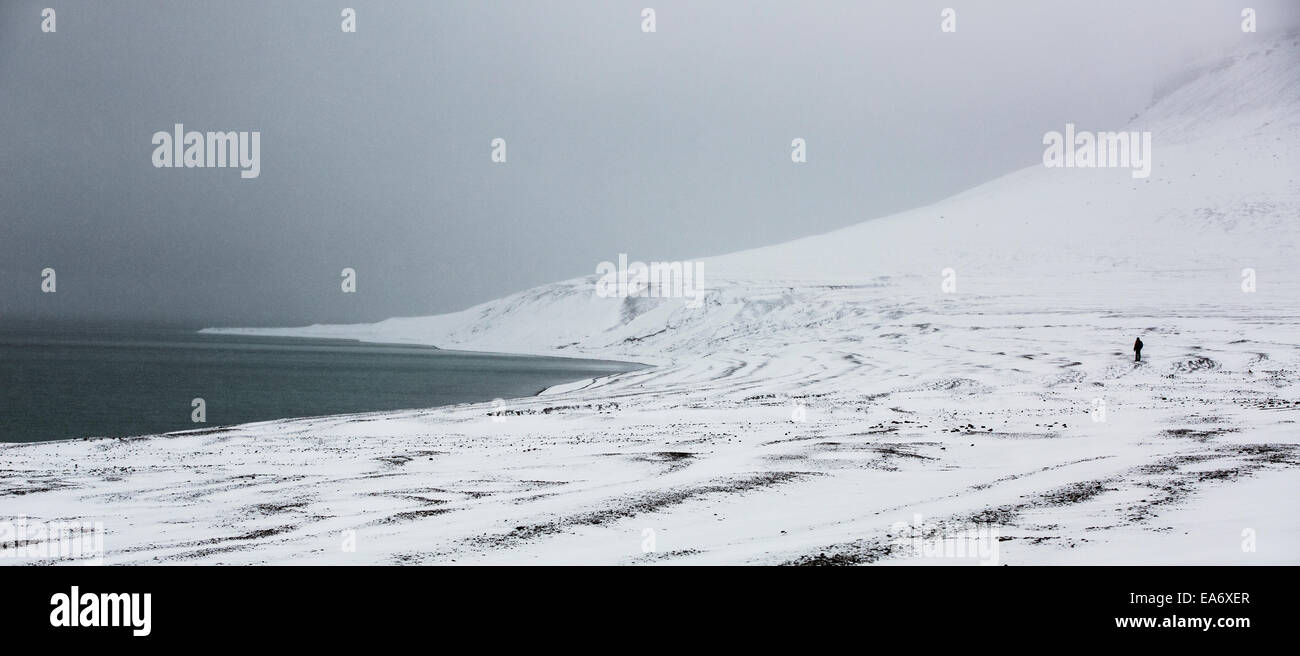 Beechey Island, Nunavut fotografia paesaggio con una solitaria figura permanente sulla spiaggia Foto Stock