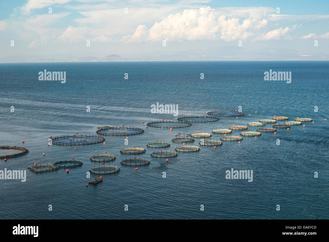 Gabbie per allevamento di pesci di mare Foto Stock