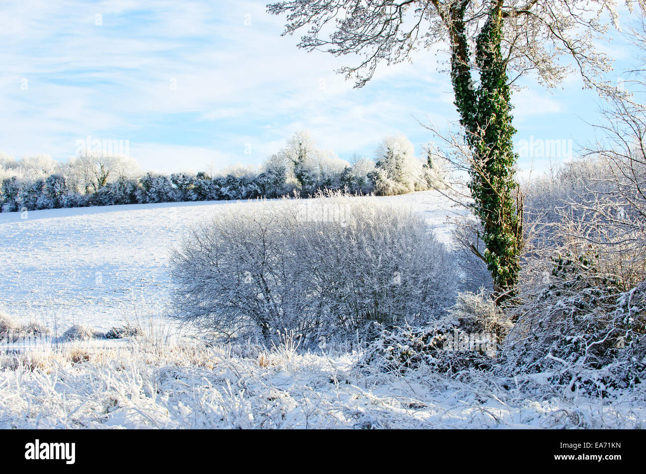 Giorno di inverno in campagna Foto Stock