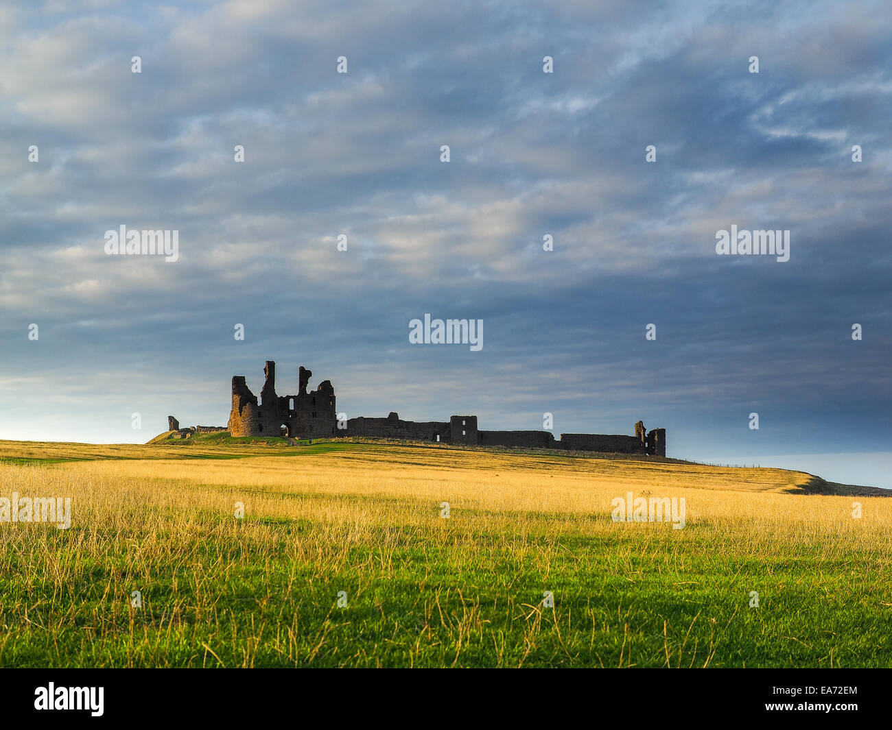 Incredibilmente aspra costa di Isola Santa in Northumberland è protetto da Lindisfarne Castle su un bellissimo morni inverni Foto Stock