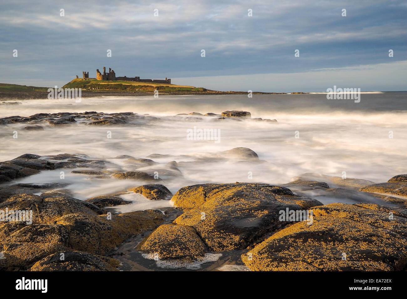 Incredibilmente aspra costa di Isola Santa in Northumberland è protetto da Lindisfarne Castle su un bellissimo morni inverni Foto Stock