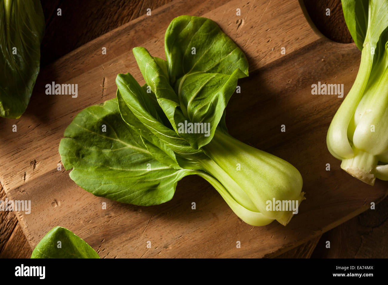 Materie Organic baby bok Choy su uno sfondo Foto Stock