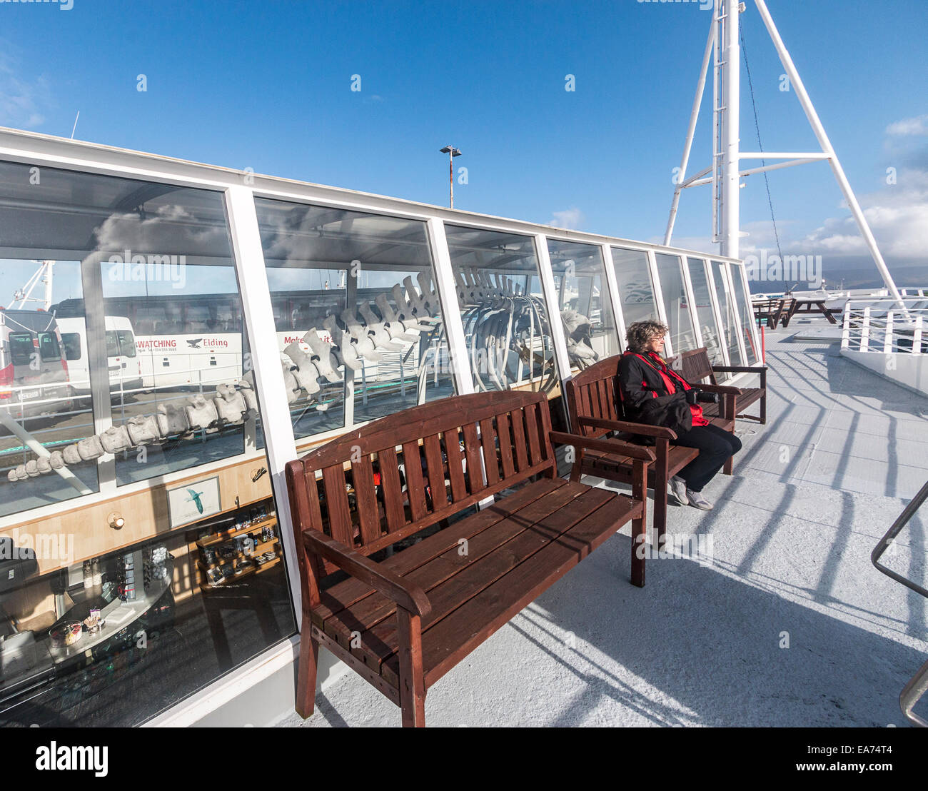 Museo delle balene a Reykjavik turistiche waterfront presso il Porto Vecchio, il quale è rivestito con barche in attesa solo di portare le persone a vedere Foto Stock