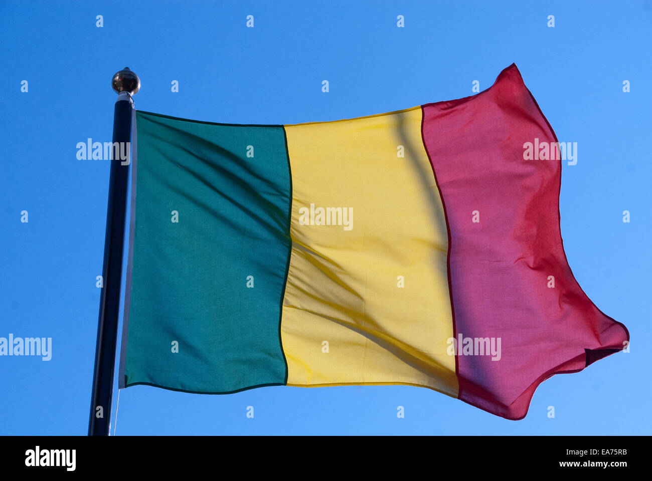 Bandiera del Mali Foto Stock