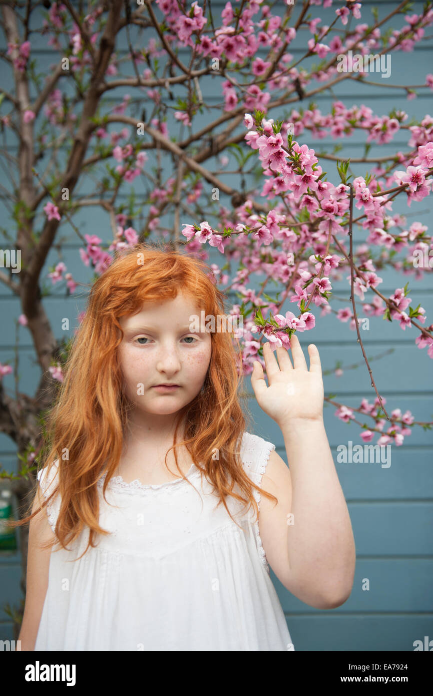 Ritratto di ragazza gingerhead (8-9) indossando abito bianco toccando susino blossom Foto Stock