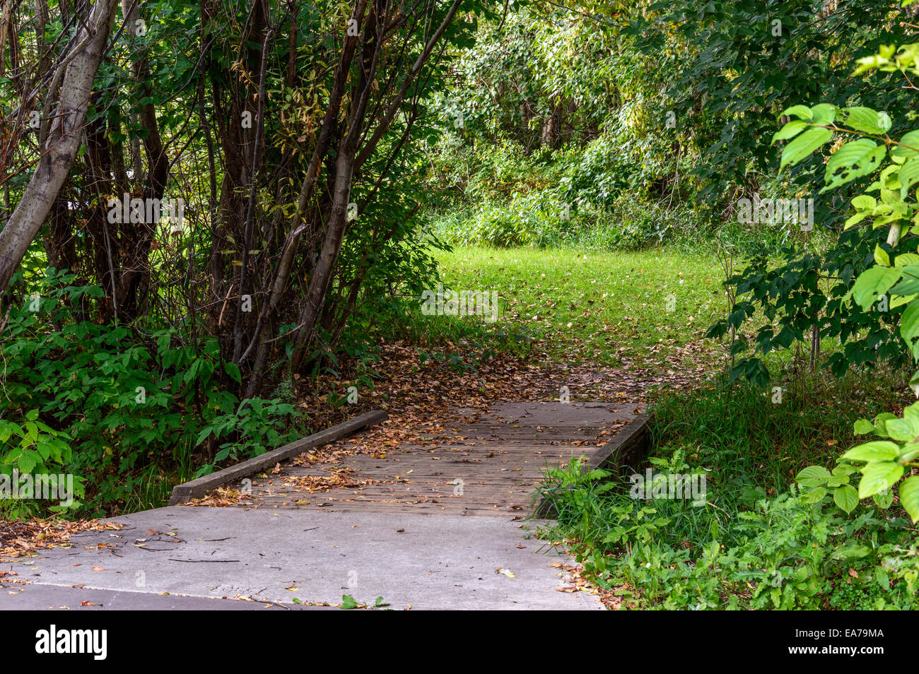 Piccolo ponte pedonale Foto Stock