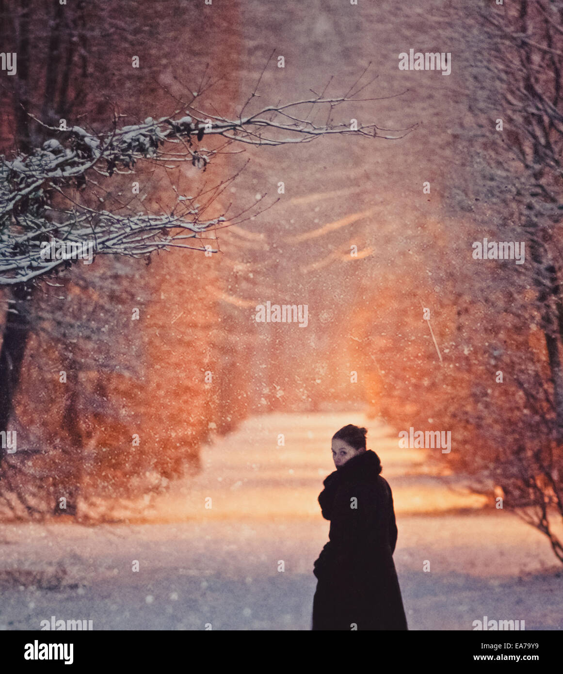 Una passeggiata in un parco innevato Foto Stock