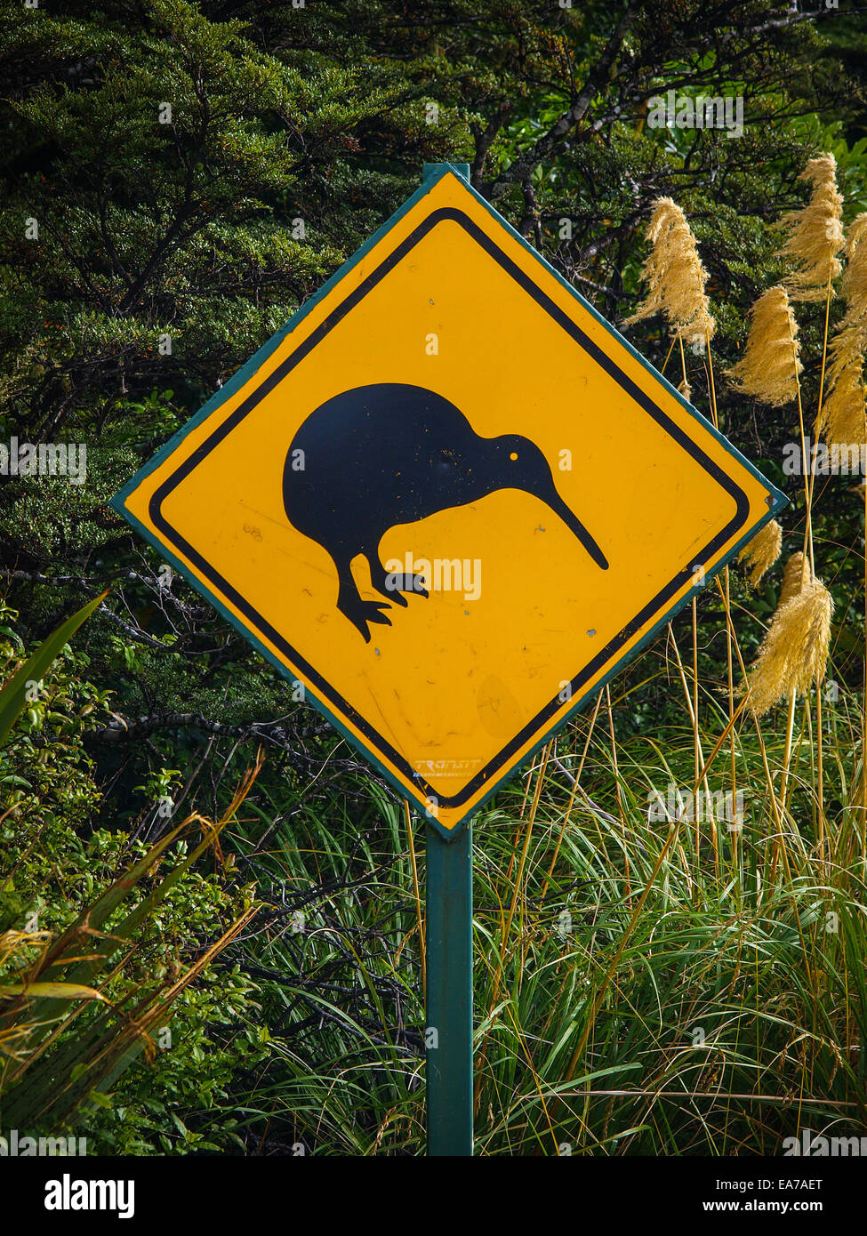 Kiwi attraversando cartello stradale Foto Stock