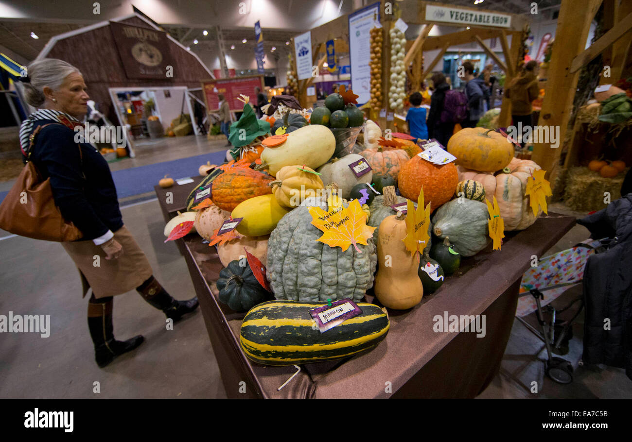 Toronto, Canada. 7 Nov, 2014. La gente visita durante la 92ma Royal Agricultural inverno fiera presso il diretto di energia nel centro di Toronto, Canada, nov. 7, 2014. Come uno dei più grande coperta mostra agricola nel mondo, i dieci giorni di manifestazione annuale ha dato dei calci a fuori qui il venerdì. © Zou Zheng/Xinhua/Alamy Live News Foto Stock