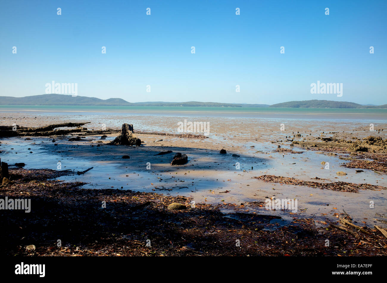 Port Stephens, marea out Foto Stock